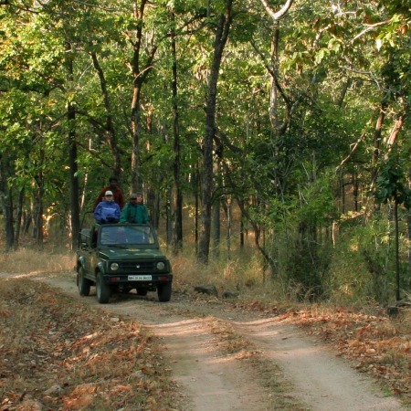 Pench National Park Pench National Park